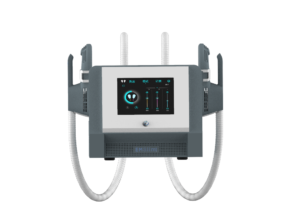 kidney beans organic